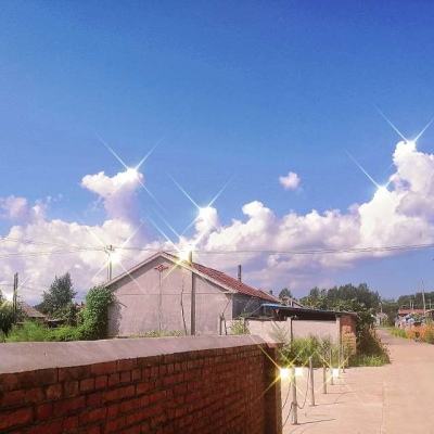 江南app体育下载官网